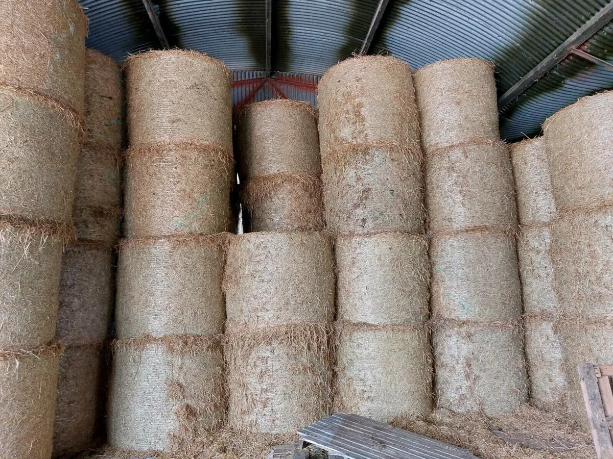 Straw - Image 1
