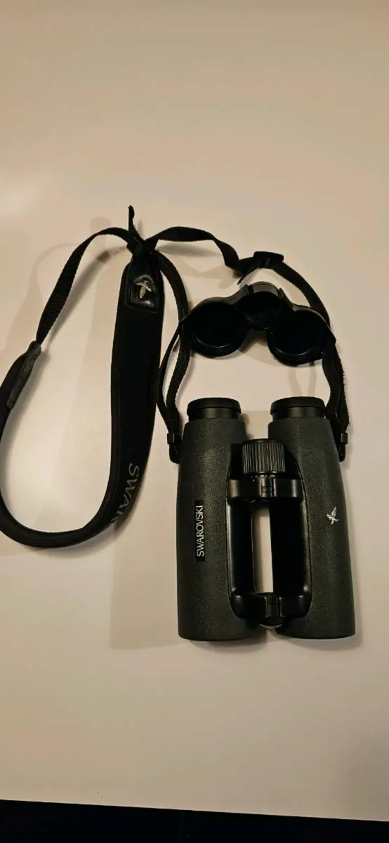 Swaroski EL 10x42 - Image 1