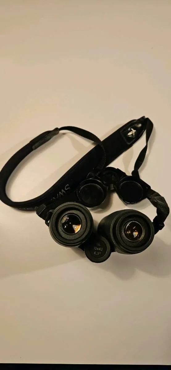 Swaroski EL 10x42 - Image 2