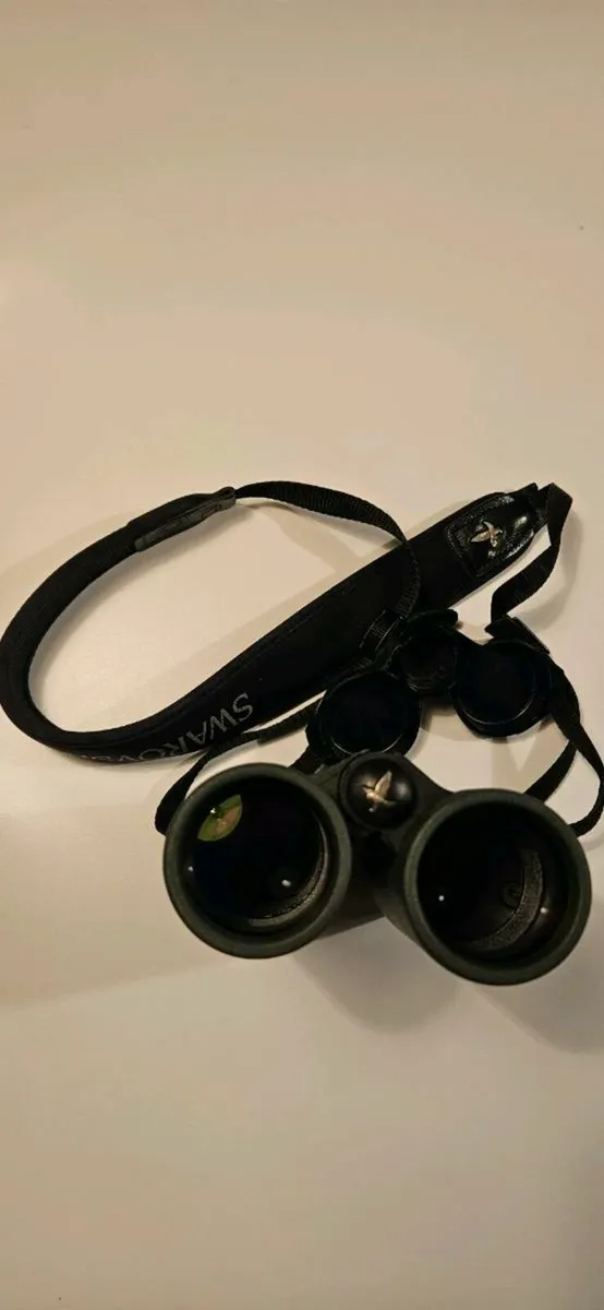 Swaroski EL 10x42 - Image 3