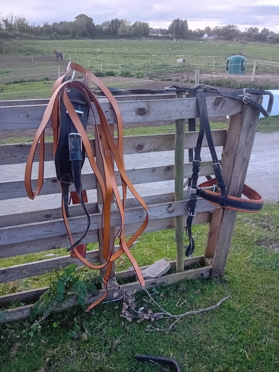 2 leather sets of Harness - Image 1