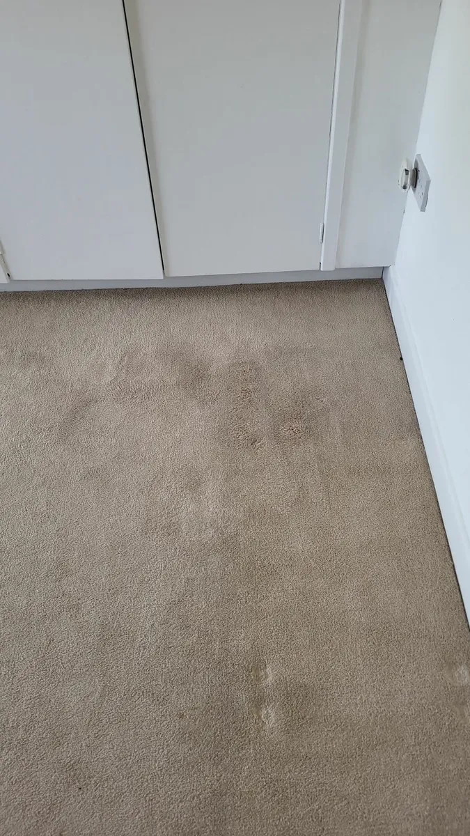 Window .. gutter... carpet cleaning - Image 4