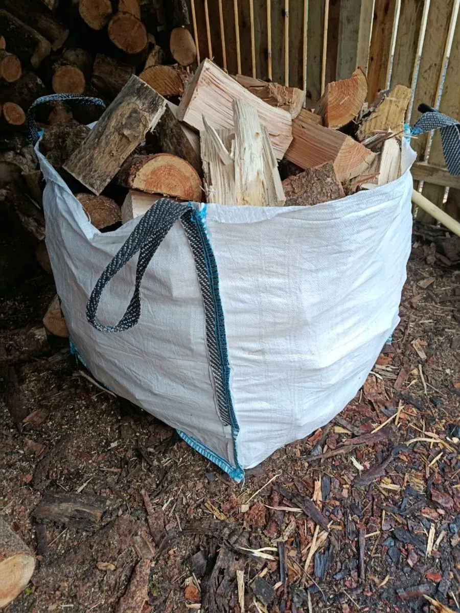 Firewood - Image 1