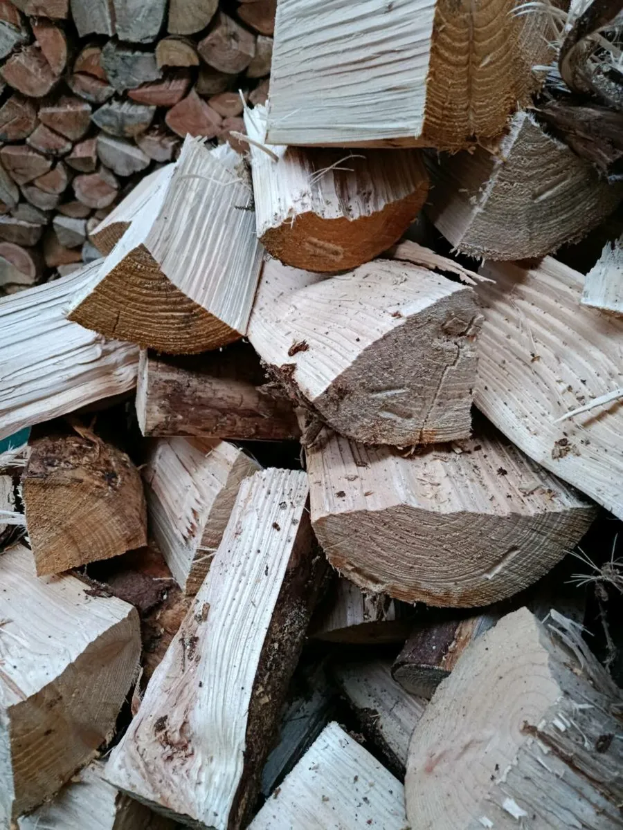 Firewood - Image 2