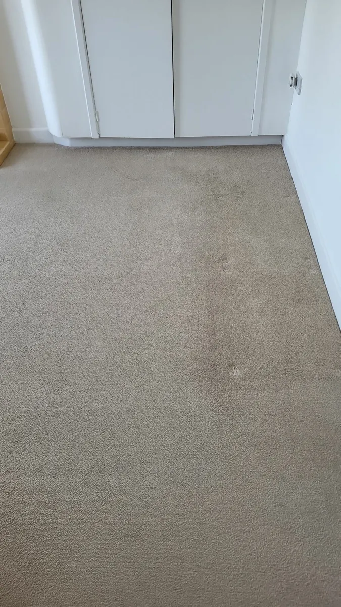 Window .. gutter... carpet cleaning - Image 3