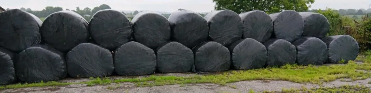 Silage bales