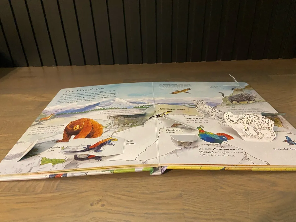 Kids animal education book - Image 4