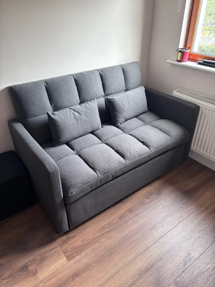 Couch/Pullout Bed - Image 1