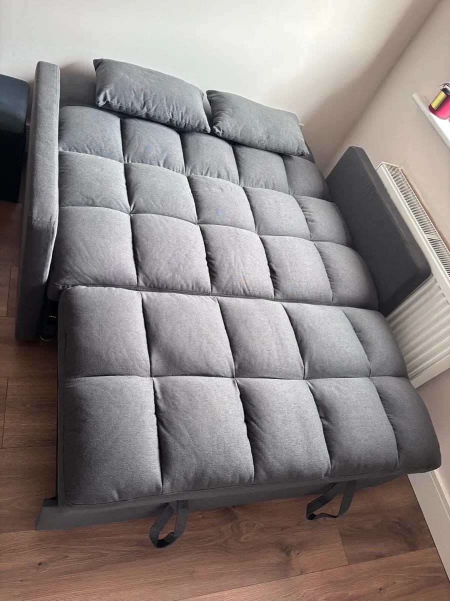 Couch/Pullout Bed - Image 3