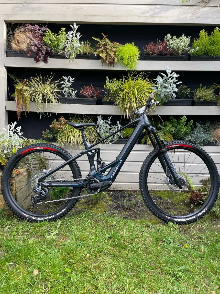 Orbea Wild Size M - Image 1