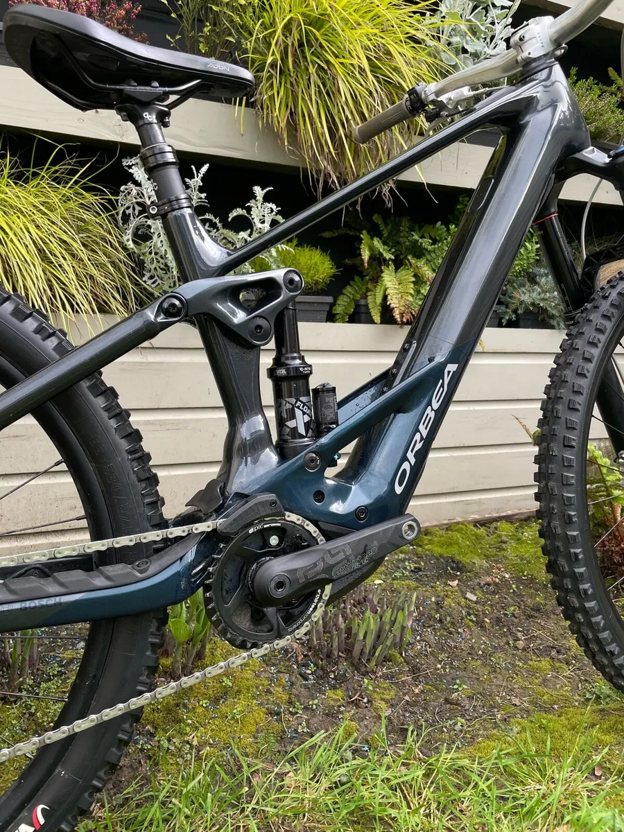Orbea Wild Size M - Image 2