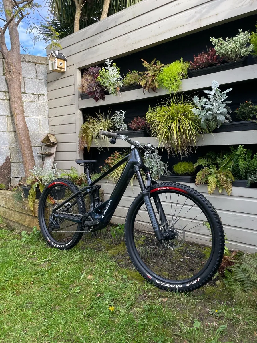 Orbea Wild Size M - Image 4