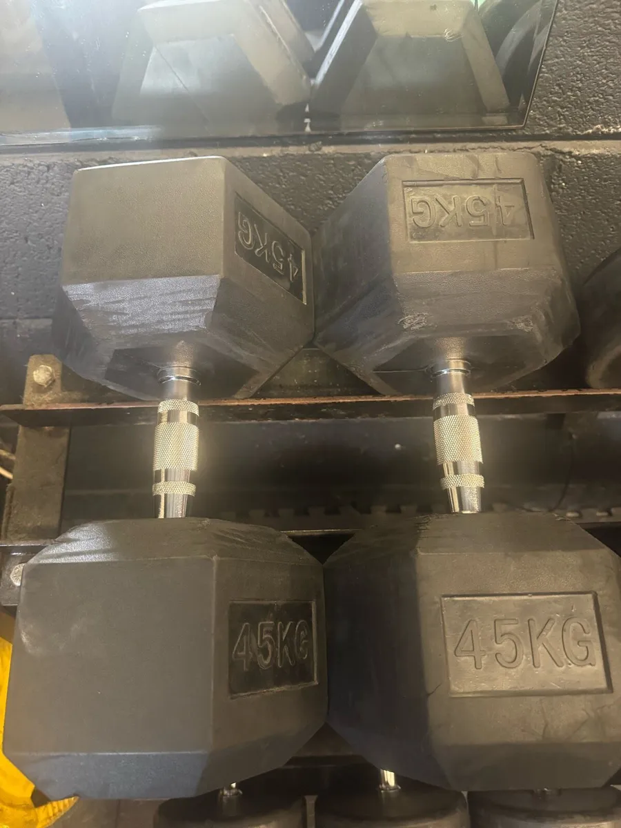 45kg Dumbell pair
