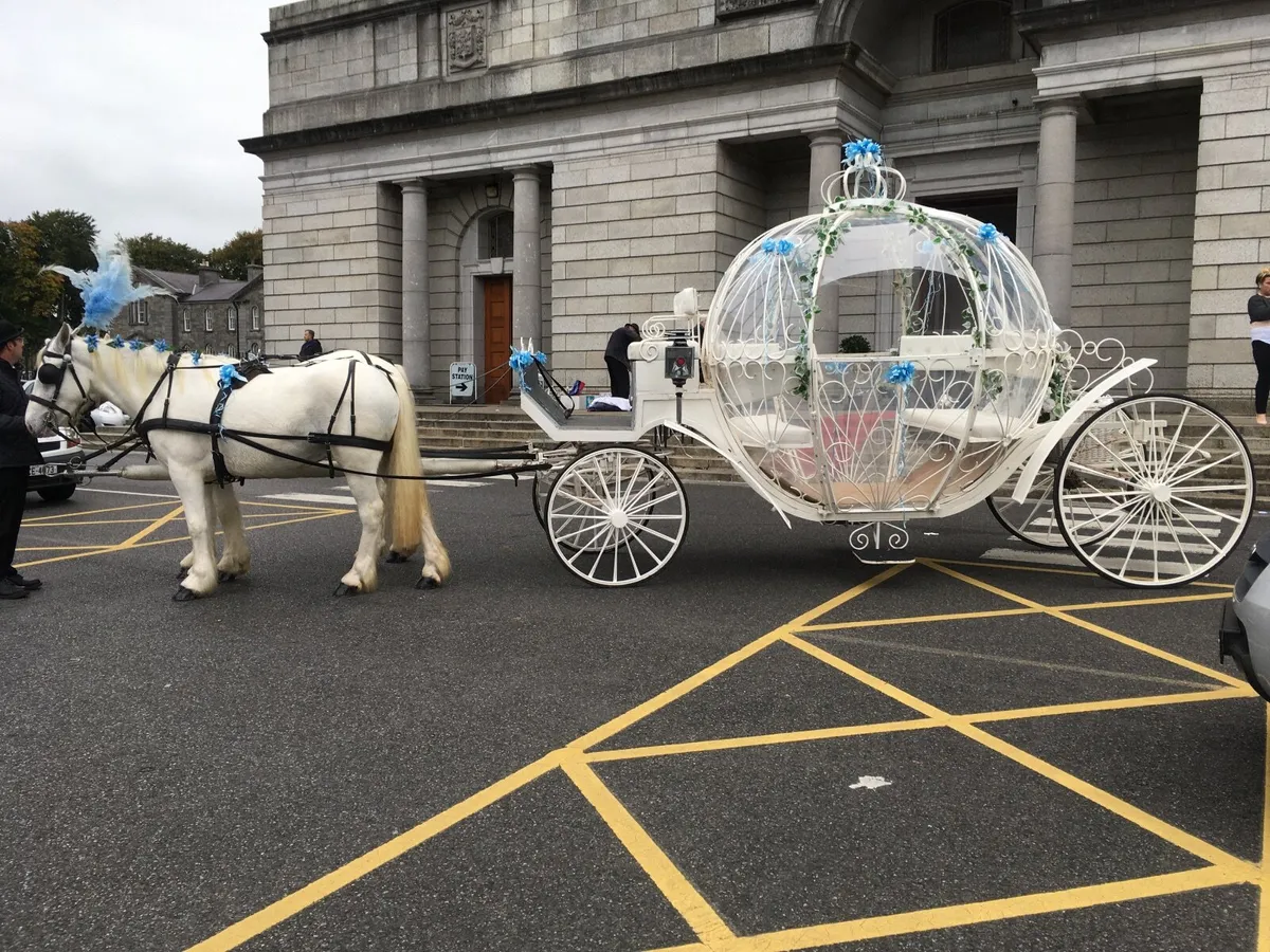 15/1 driving cob - Image 3
