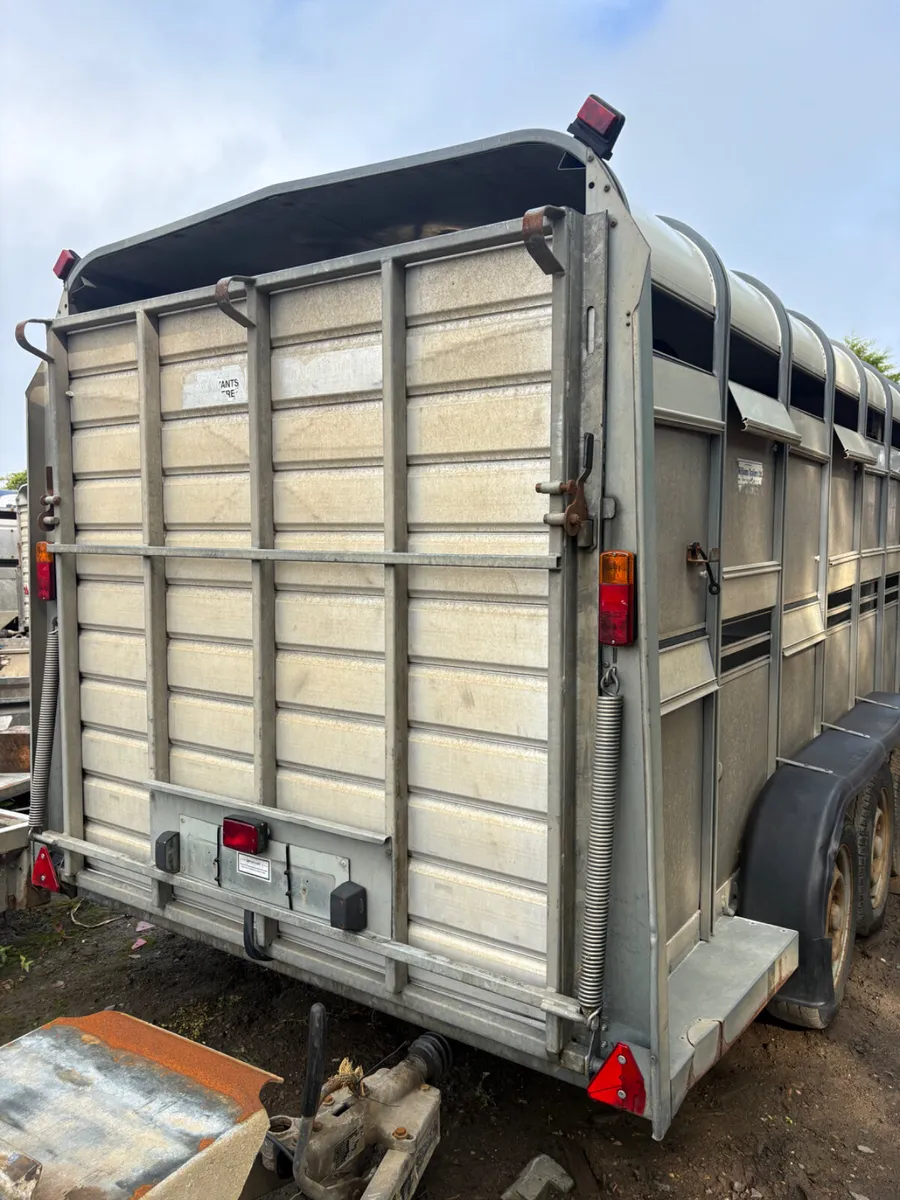 Ifor Williams 14ft tri axle cattle trialer - Image 2