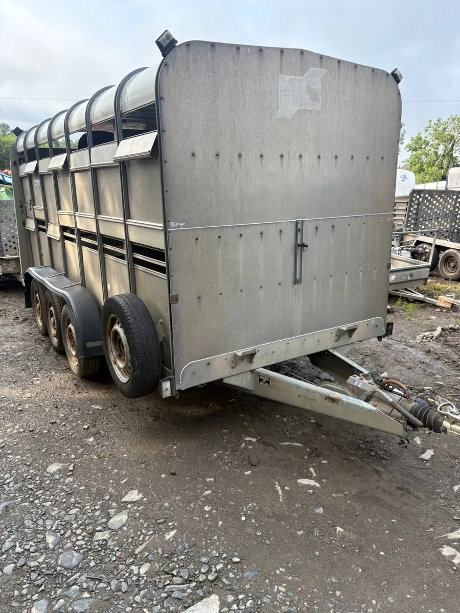 Ifor Williams 14ft tri axle cattle trialer - Image 1