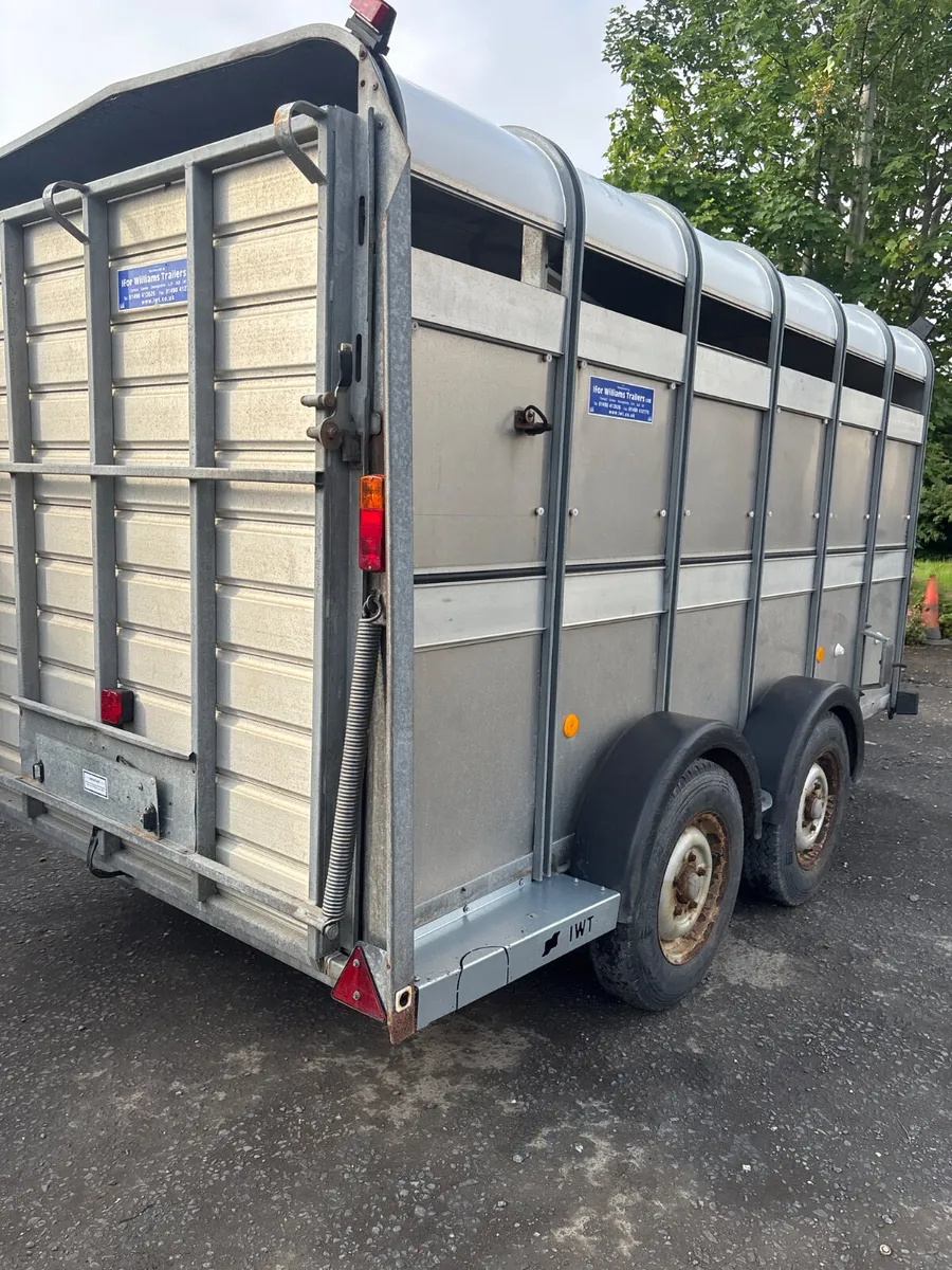 Ifor Williams 12ft cattle trailer - Image 2