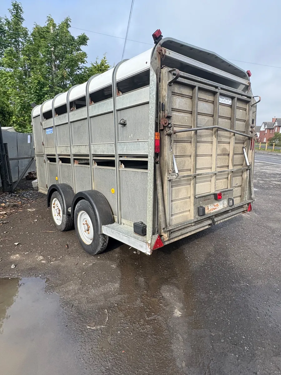 Ifor Williams 12ft cattle sheep trailer - Image 2