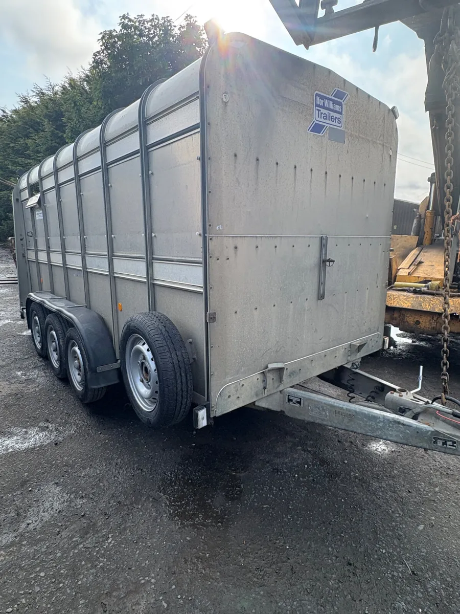Ifor Williams 14ft cattle trailer - Image 1