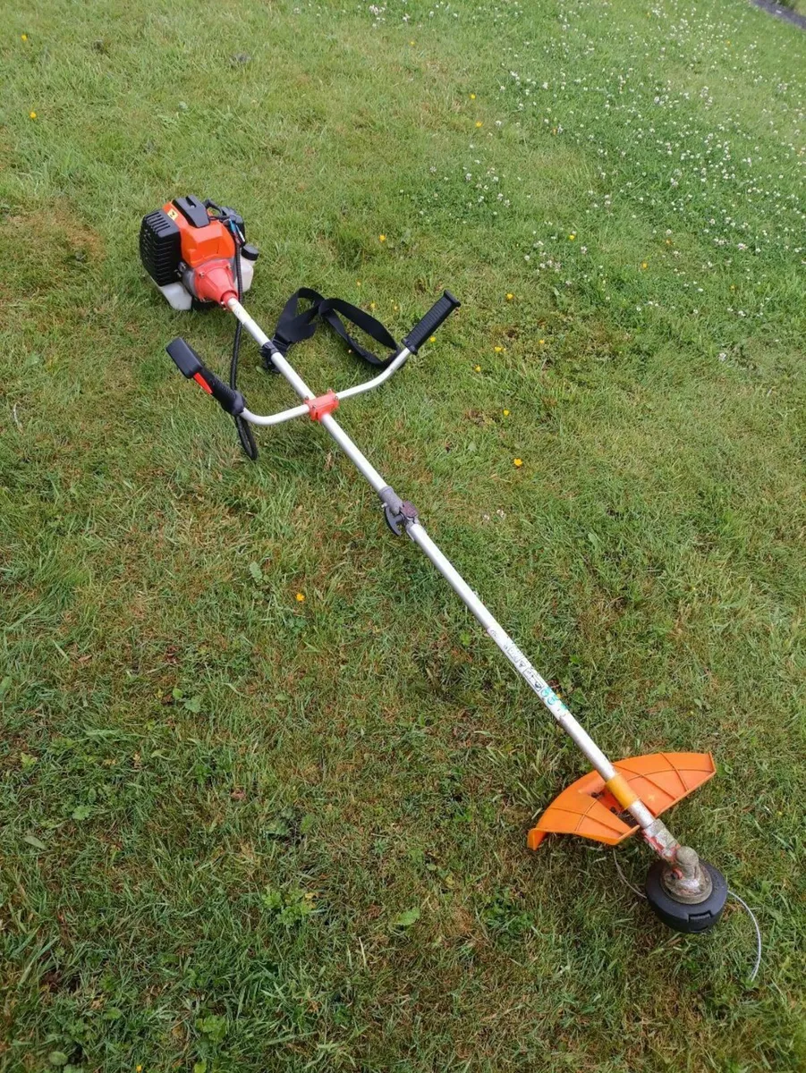 Strimmer - Image 1