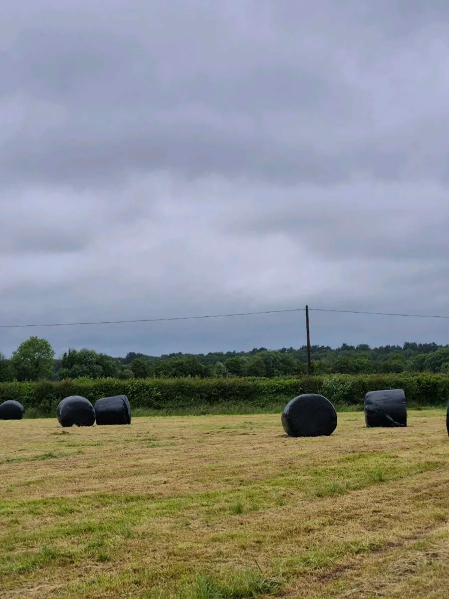 Silage bales