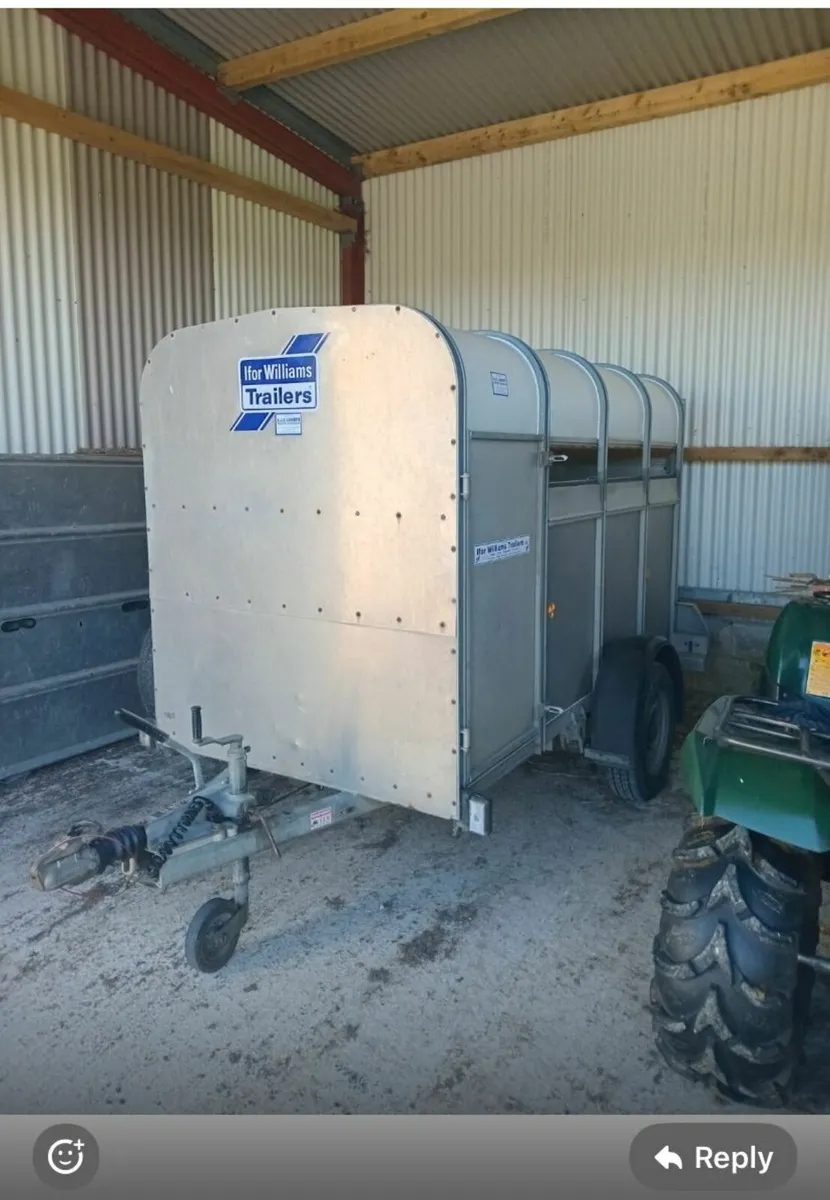 Ifor Williams sheep/calves trailer 8x4 - Image 1