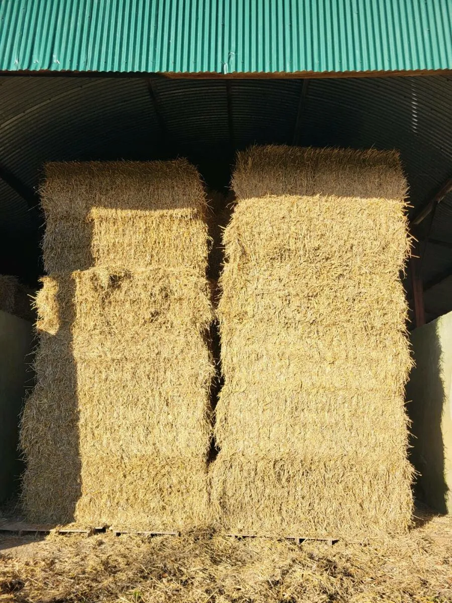 Wheat straw 8×4×3 - Image 1