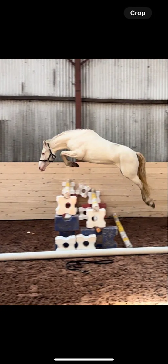 148 jumpers - Image 1