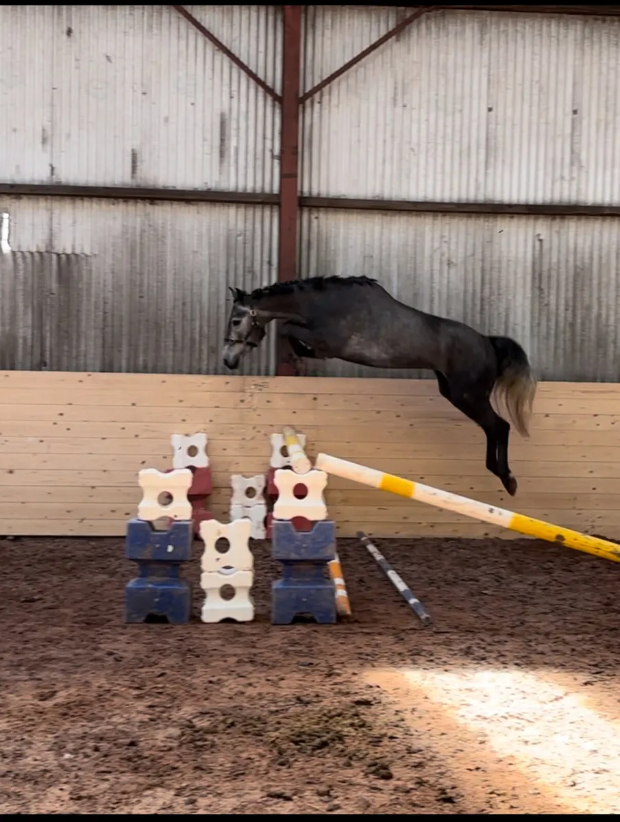 148 jumpers - Image 3