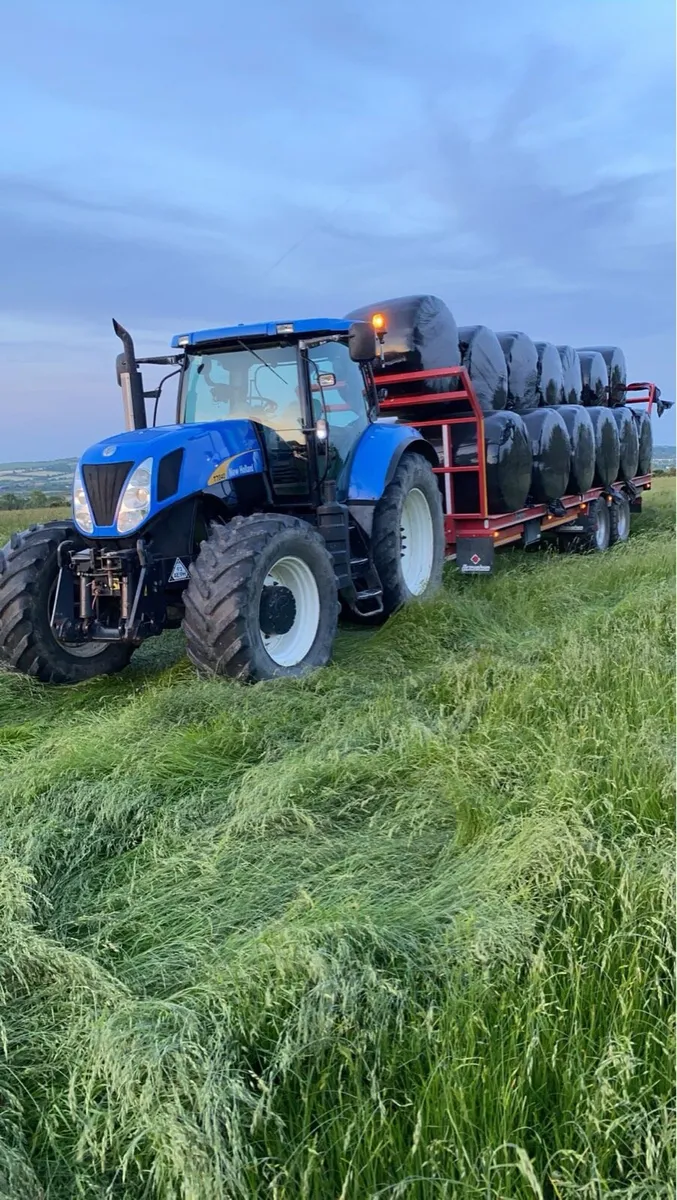 Haylage ready to feed - Image 2