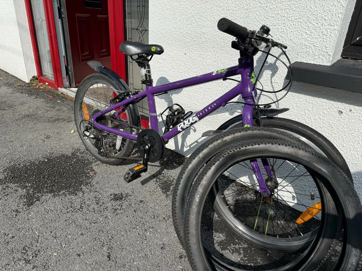 Frog 55 Bike - Image 1