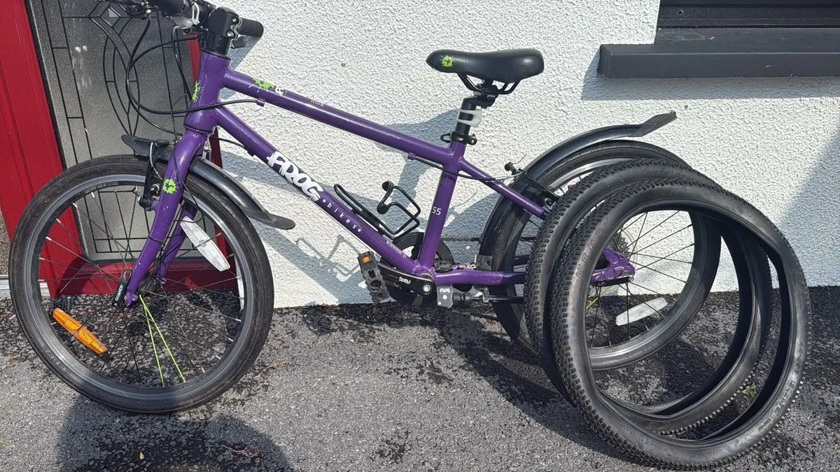 Frog 55 Bike - Image 3