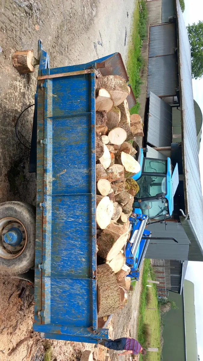 Firewood Rounds - Image 2