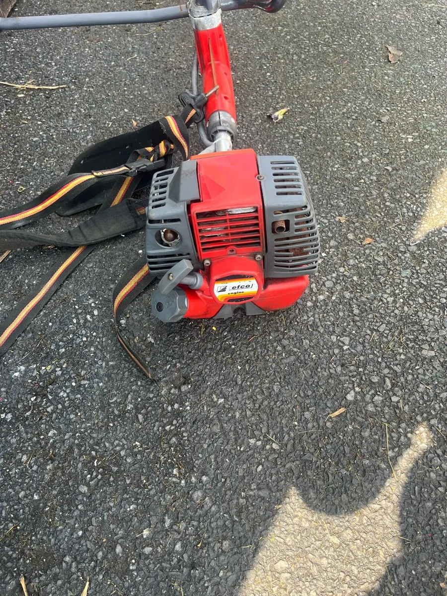 Strimmer - Image 2