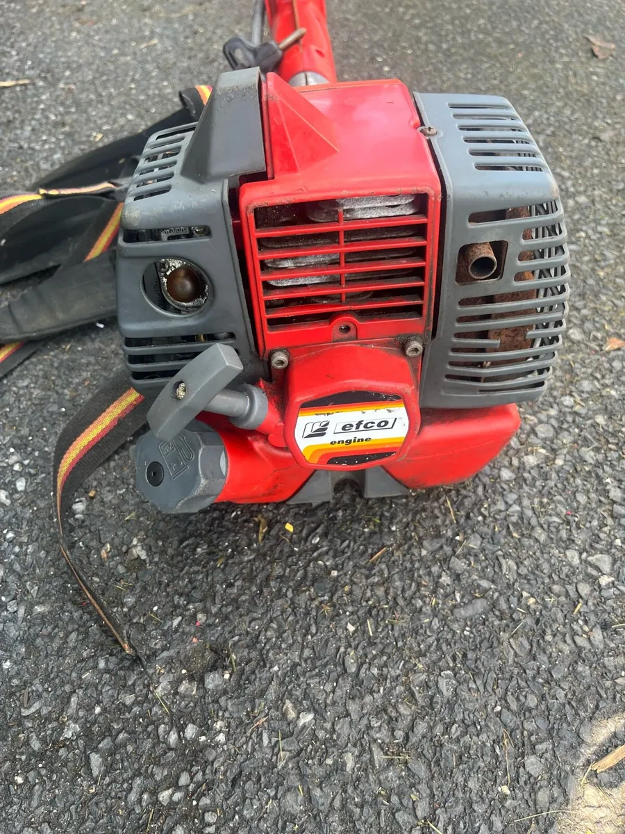Strimmer - Image 3