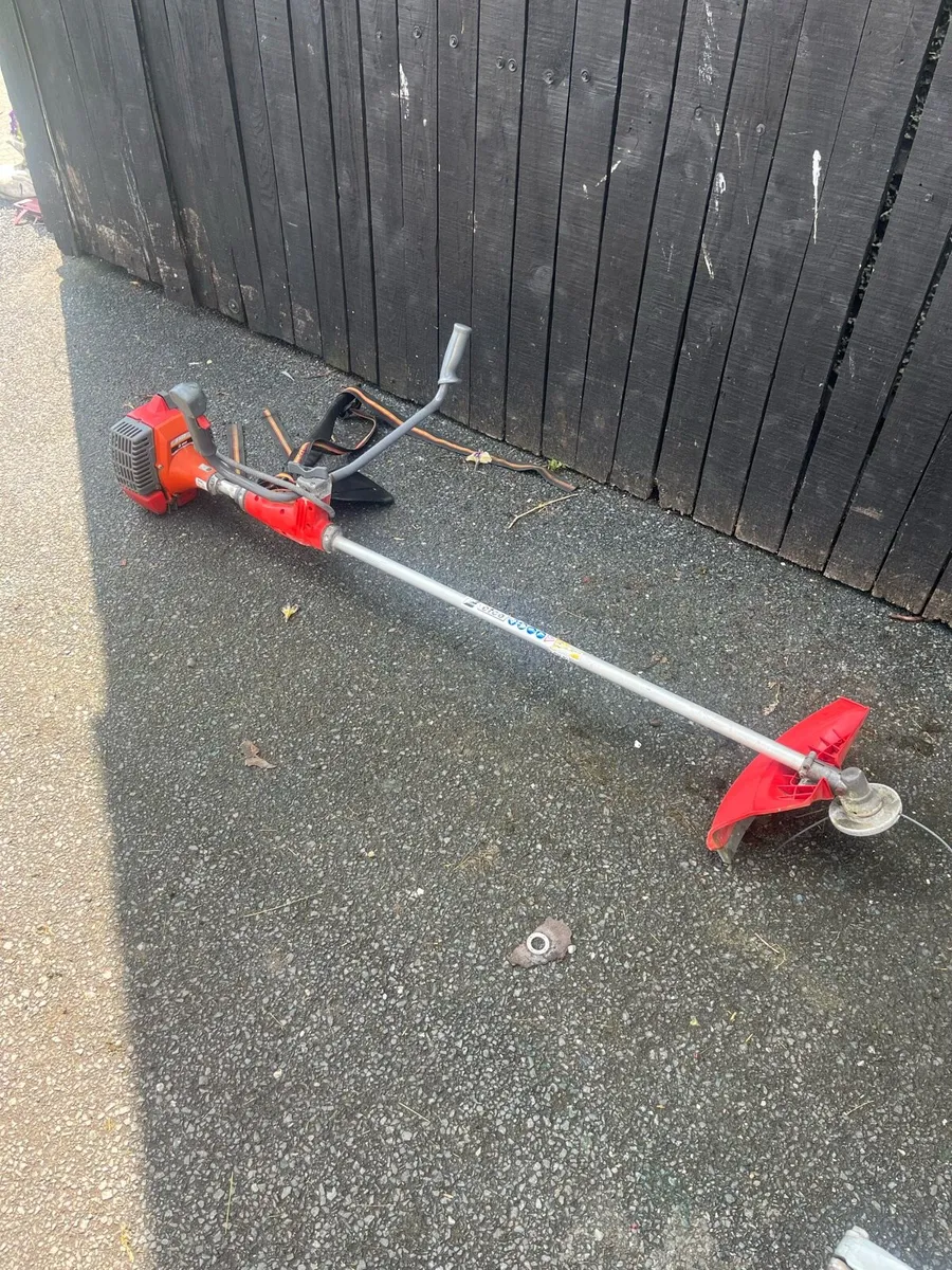Strimmer - Image 1