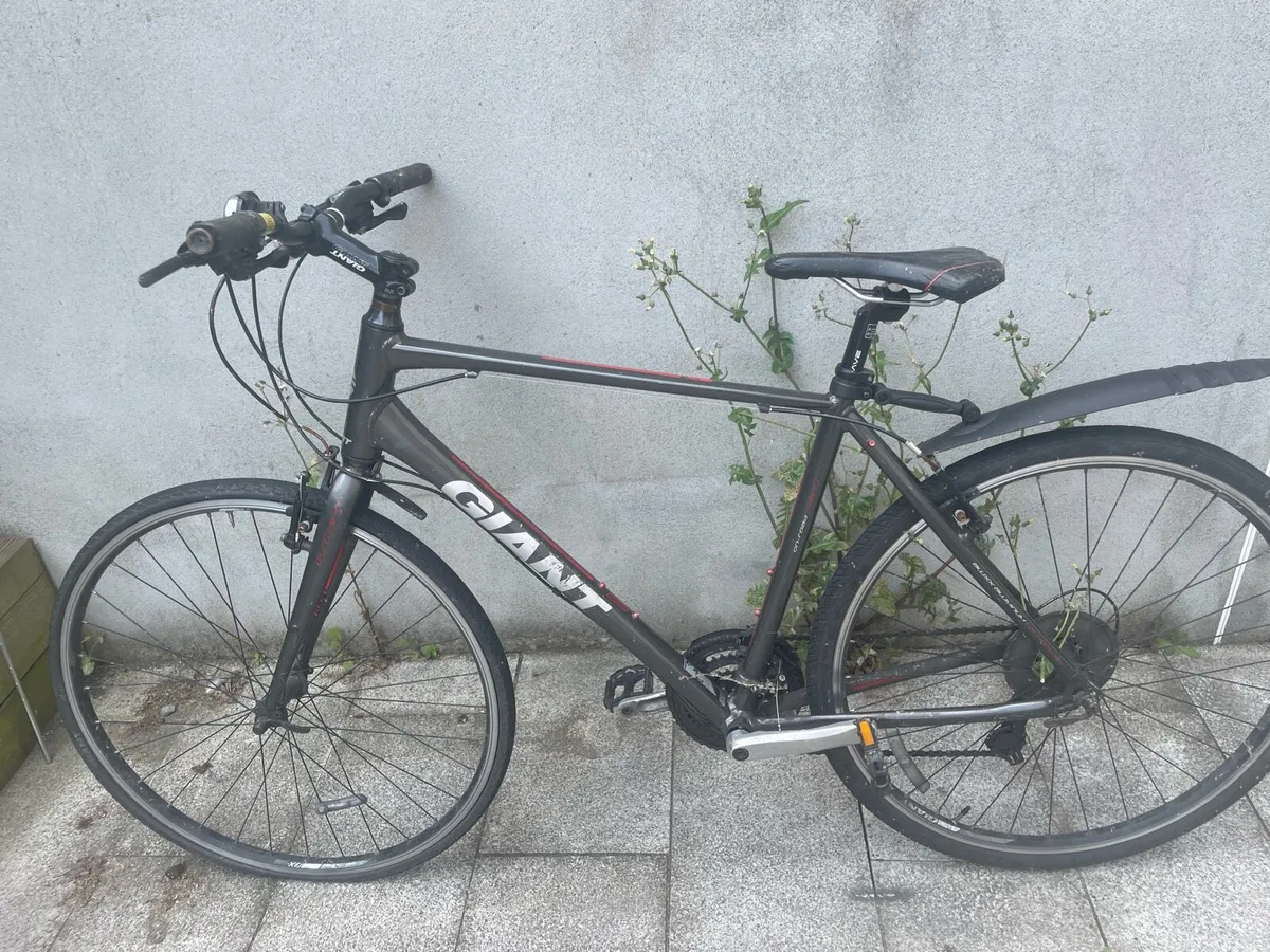Hybrid Giant Bike - Image 1