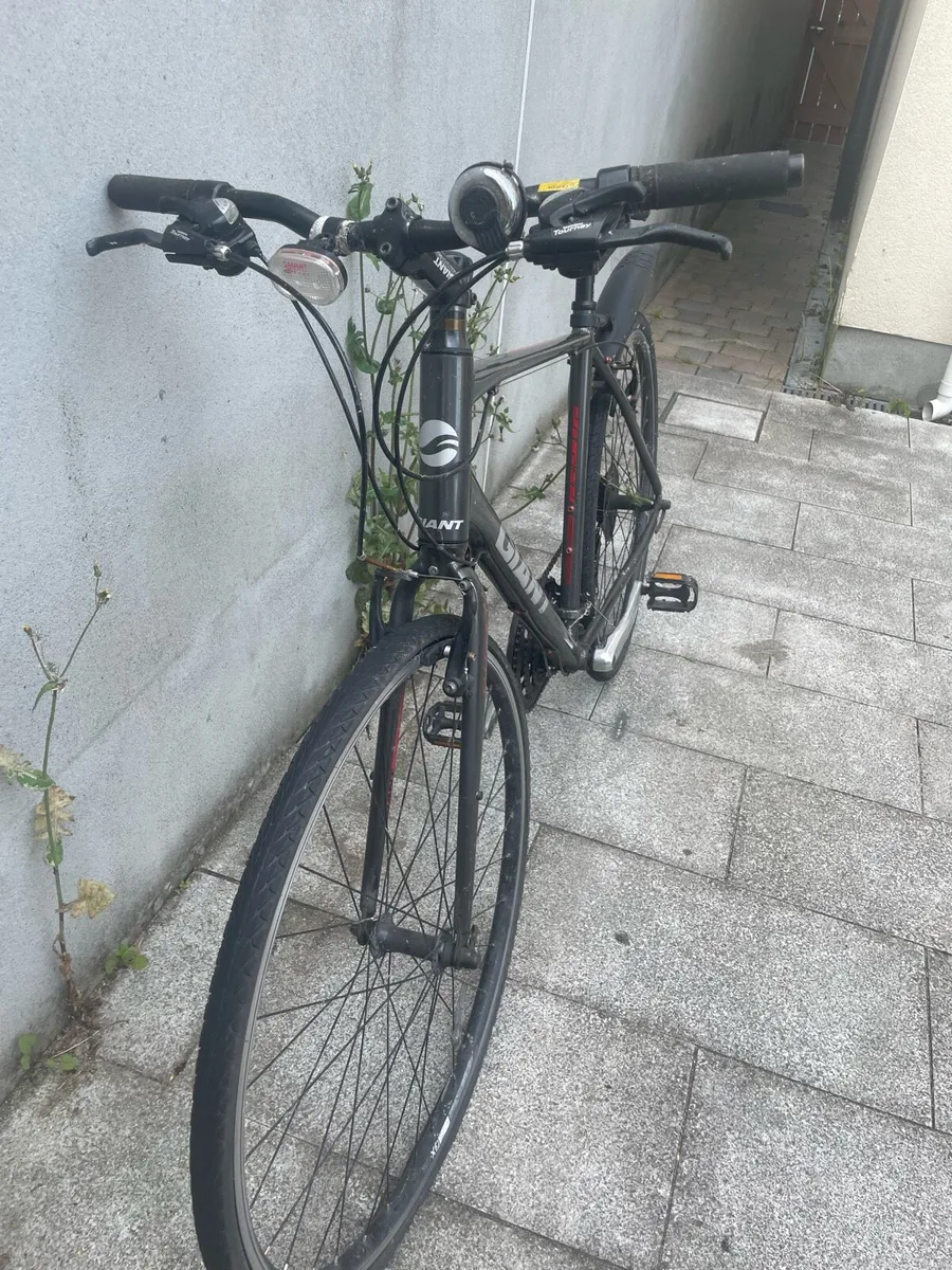 Hybrid Giant Bike - Image 2