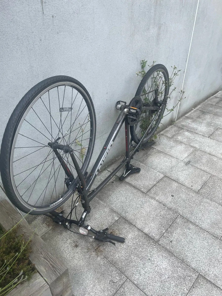 Hybrid Giant Bike - Image 3