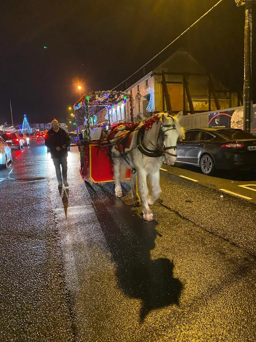 15/1 driving cob - Image 4