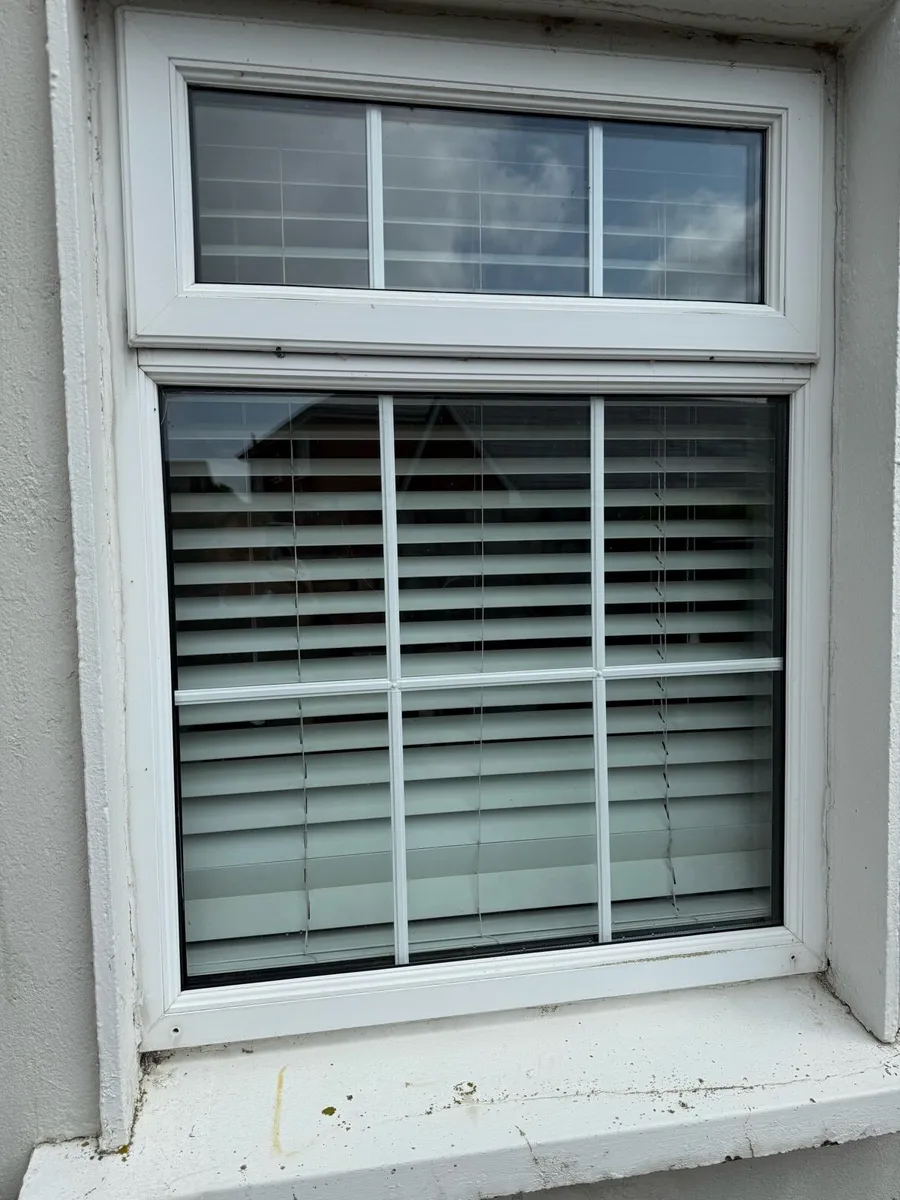 Windows and Doors - Image 3