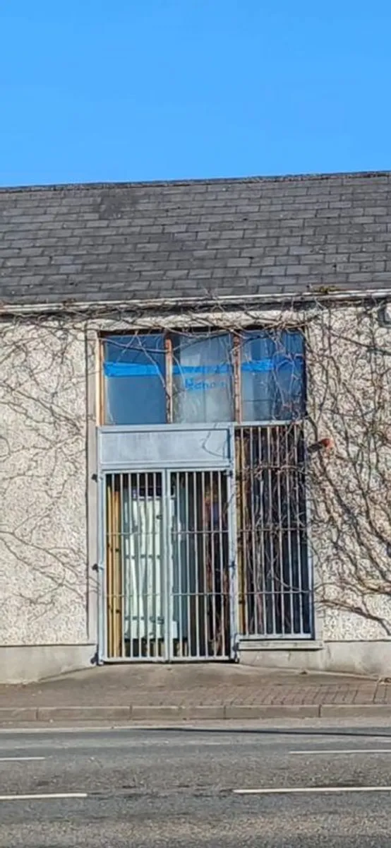 External Security Door Guard - Image 1