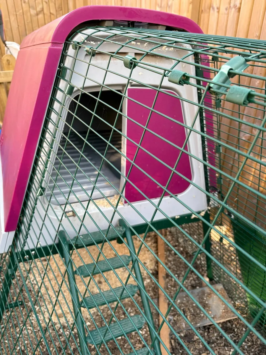 Chicken Coop - Image 2