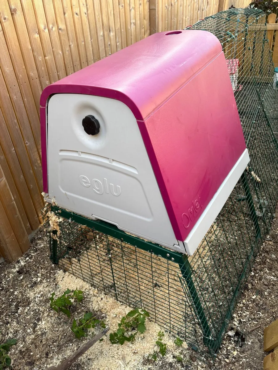Chicken Coop - Image 4