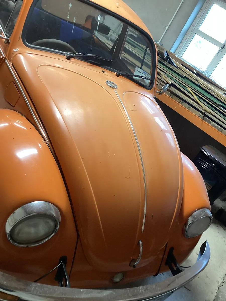 Very beetle,,, - Image 2