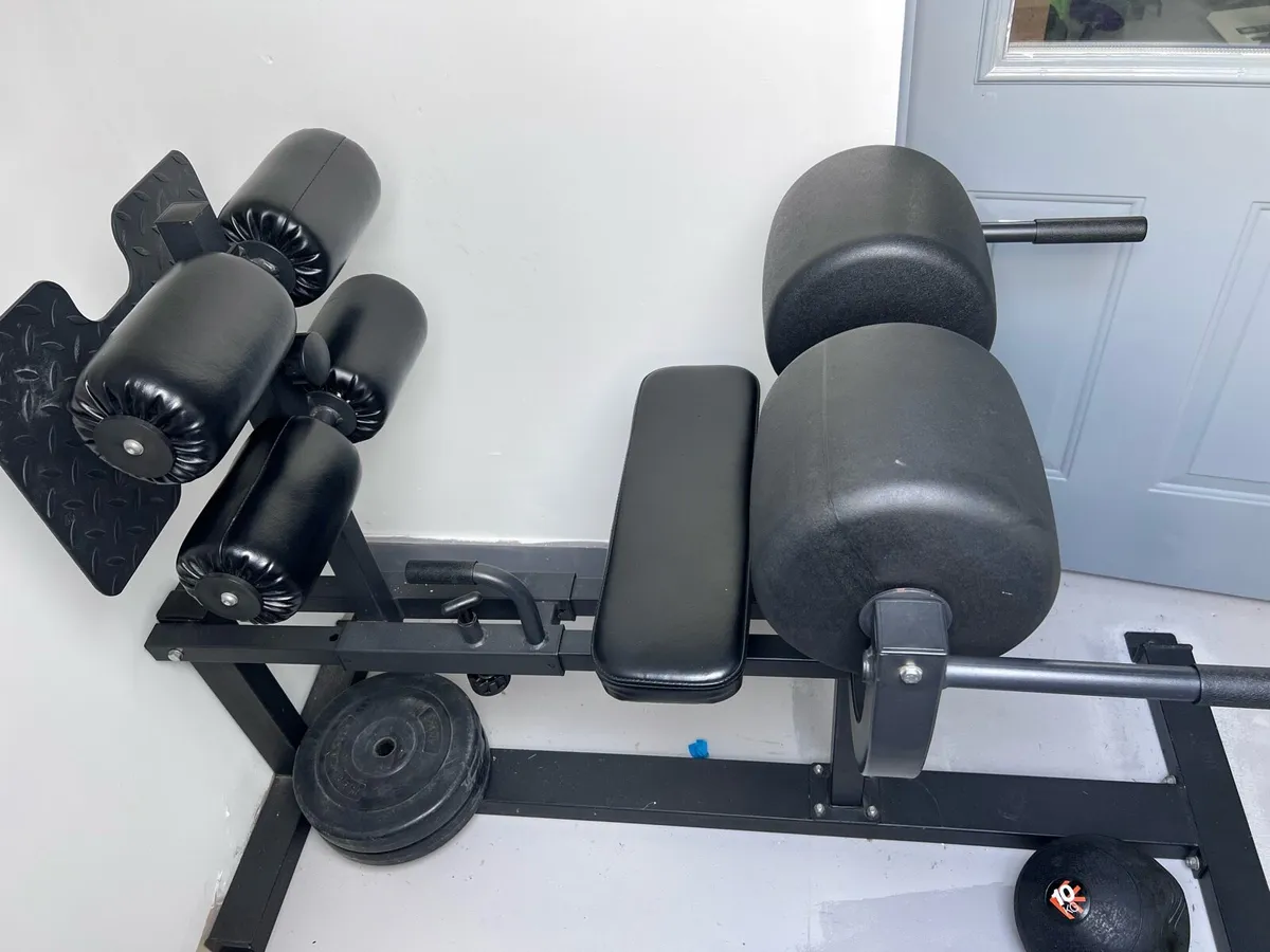 Glute ham developer GHD - Image 2
