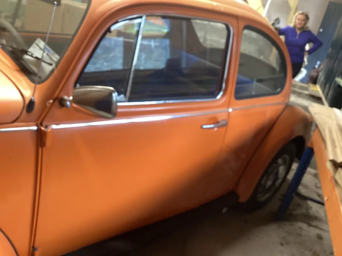 Very beetle,,, - Image 3