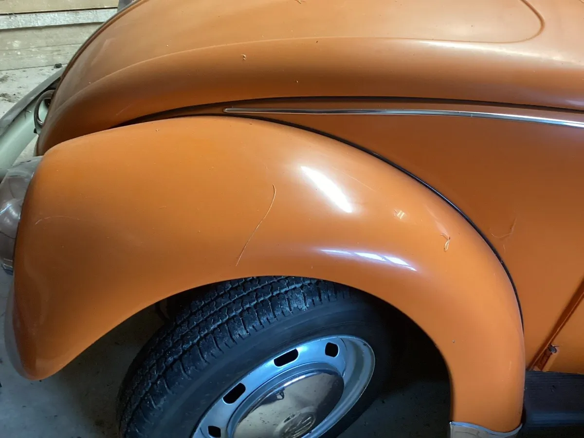 Very beetle,,, - Image 4