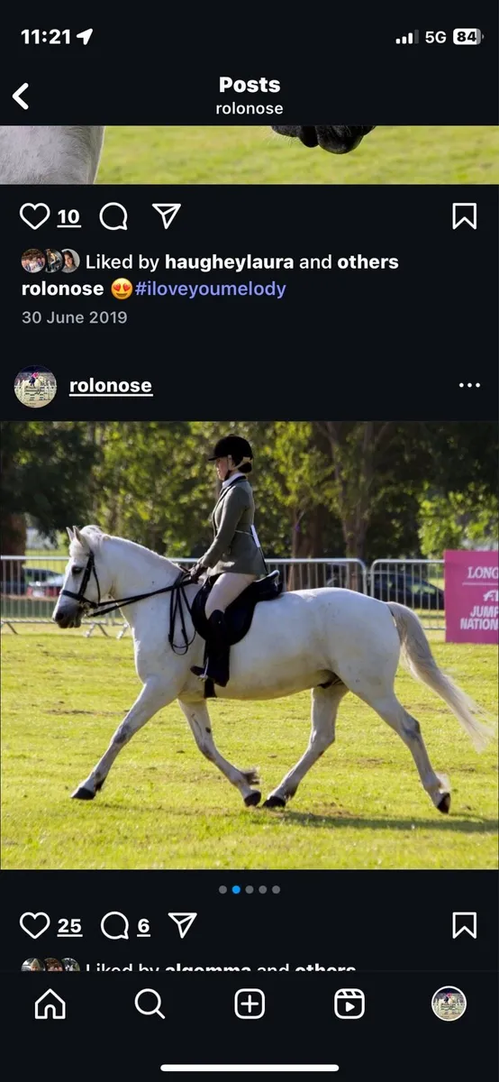 16yr old Connemara pony 15.2hh - Image 3