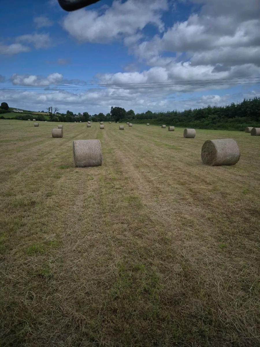 Hay for sale - Image 1